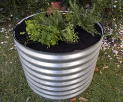 Veggie beds